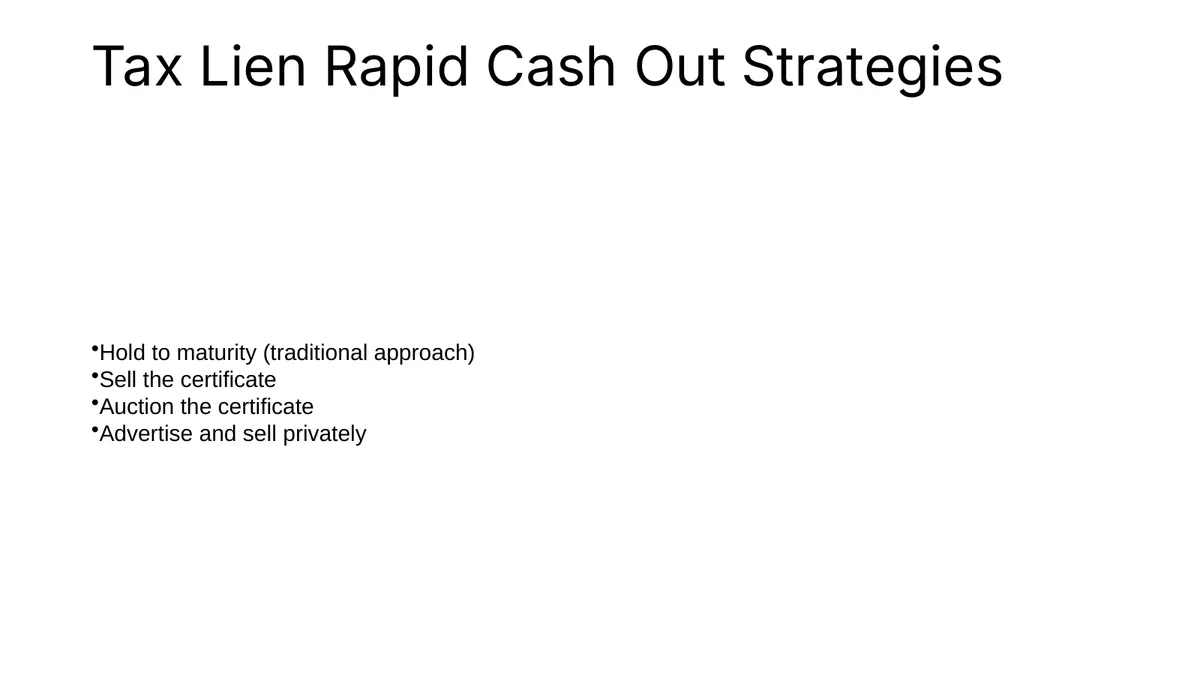 Slide 2: Tax lien rapid cash-out strategies — Original slide — four strategies as small asterisk text