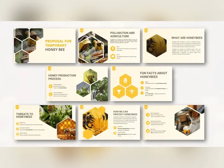 Community programme presentation design
